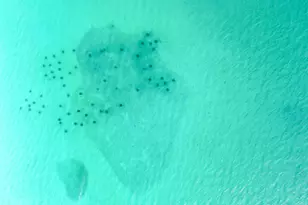 50 Jessica Ct, Freeport, FL 32439 - Photo 41