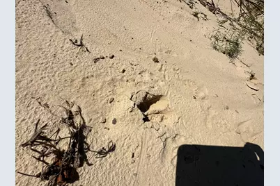 B & D Millside Road, Laurel Hill, FL 32567 - Photo 11