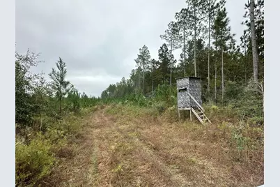 B & D Millside Road, Laurel Hill, FL 32567 - Photo 3