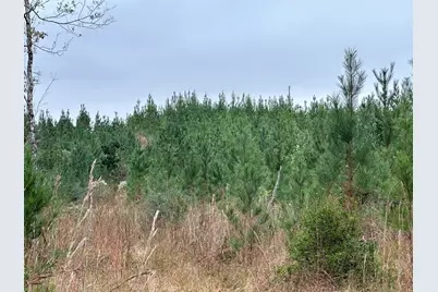 B & D Millside Road, Laurel Hill, FL 32567 - Photo 17