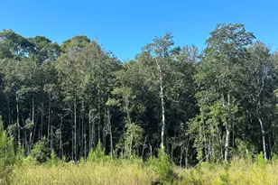 B & D Millside Rd, Laurel Hill, FL 32567 - Photo 1