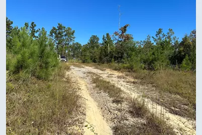B & D Millside Road, Laurel Hill, FL 32567 - Photo 9