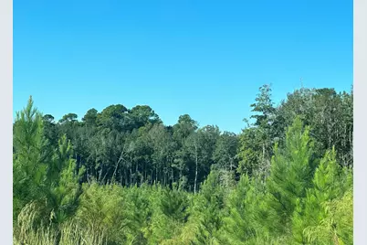 B & D Millside Road, Laurel Hill, FL 32567 - Photo 15