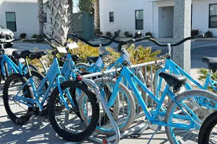 3986 W Hidden Lakes Way W, Santa Rosa Beach, FL 32459 - Photo 49