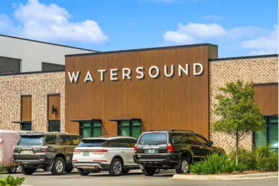 128 Ravine Road, Inlet Beach, FL 32461 - Photo 65