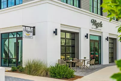 128 Ravine Road, Inlet Beach, FL 32461 - Photo 73