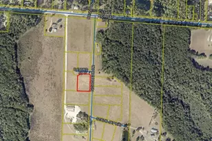 Lot 5 Catbird St, Freeport, FL 32439 - Photo 1