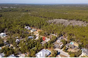 272 Blue Gulf Dr, Santa Rosa Beach, FL 32459 - Photo 33