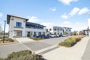 250 Windrow Way, Watersound, FL 32461 - Photo 51