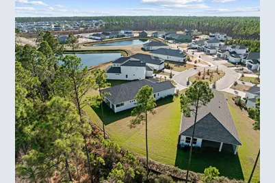 58 Ferndale Court, Inlet Beach, FL 32461 - Photo 33