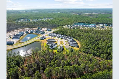 58 Ferndale Court, Inlet Beach, FL 32461 - Photo 35