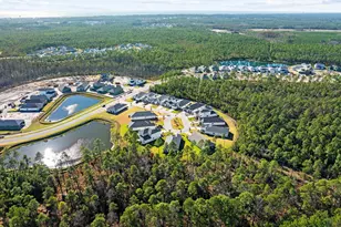 58 Ferndale Ct, Inlet Beach, FL 32461 - Photo 35