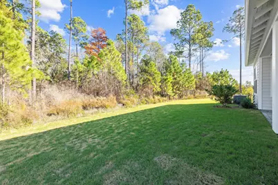 58 Ferndale Court, Inlet Beach, FL 32461 - Photo 31