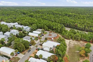 330 Ventana Blvd, Santa Rosa Beach, FL 32459 - Photo 53