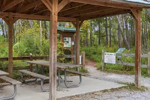 330 Ventana Blvd, Santa Rosa Beach, FL 32459 - Photo 43