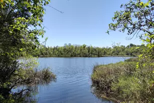 4611 Gunter Rd, Milton, FL 32570 - Photo 29