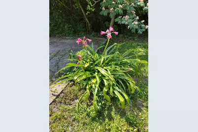 4611 Gunter Road, Milton, FL 32570 - Photo 27