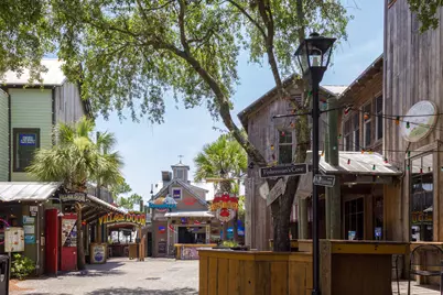 8981 Heron Walk Drive #UNIT 8981, Miramar Beach, FL 32550 - Photo 35