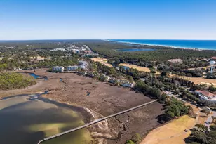 8981 Heron Walk Dr, Miramar Beach, FL 32550 - Photo 53