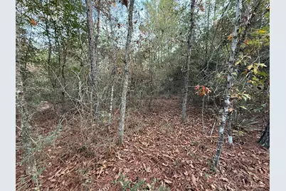 Lots 9-11 Tangerine & Lot 2 Girl Scout, Defuniak Springs, FL 32433 - Photo 13