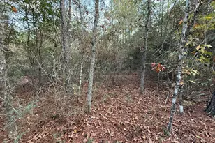 Lots 9-11 Tangerine & Lot 2 Girl Scout, Defuniak Springs, FL 32433 - Photo 13