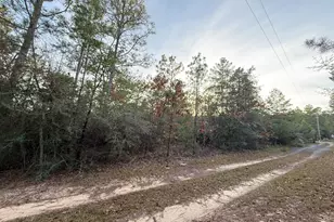 Lots 9-11 Tangerine & Lot 2 Girl Scout, Defuniak Springs, FL 32433 - Photo 5
