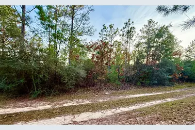 Lots 9-11 Tangerine & Lot 2 Girl Scout, Defuniak Springs, FL 32433 - Photo 3