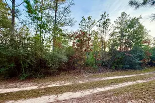 Lots 9-11 Tangerine & Lot 2 Girl Scout, Defuniak Springs, FL 32433 - Photo 3