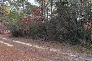 Lots 9-11 Tangerine & Lot 2 Girl Scout, Defuniak Springs, FL 32433 - Photo 7