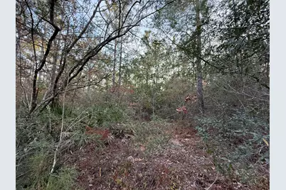 Lots 9-11 Tangerine & Lot 2 Girl Scout, Defuniak Springs, FL 32433 - Photo 11