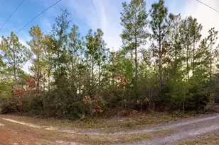 Lots 9-11 Tangerine & Lot 2 Girl Scout, Defuniak Springs, FL 32433 - Photo 1