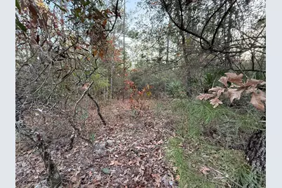 Lots 9-11 Tangerine & Lot 2 Girl Scout, Defuniak Springs, FL 32433 - Photo 9