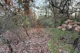 Lots 9-11 Tangerine & Lot 2 Girl Scout, Defuniak Springs, FL 32433 - Photo 9