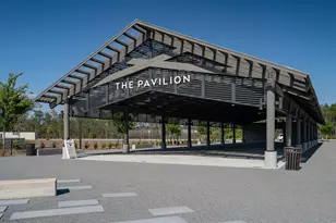 165 Pennekamp Ln, Inlet Beach, FL 32461 - Photo 75