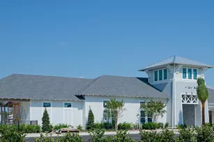 165 Pennekamp Ln, Inlet Beach, FL 32461 - Photo 59