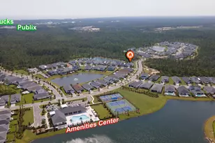 165 Pennekamp Ln, Inlet Beach, FL 32461 - Photo 57