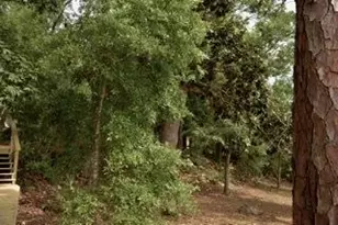 [Address not provided], Niceville, FL 32578 - Photo 57