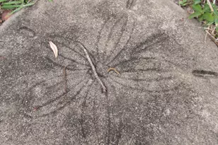 [Address not provided], Niceville, FL 32578 - Photo 45