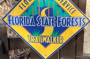 310 Channel Shl Dr, Santa Rosa Beach, FL 32459 - Photo 75