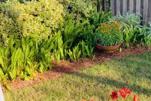 161 S Zander Way S, Santa Rosa Beach, FL 32459 - Photo 29