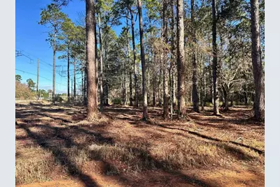 0 Avalon Boulevard, Milton, FL 32583 - Photo 7