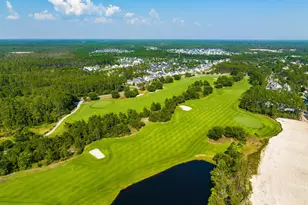 253 Windrow Way, Watersound, FL 32461 - Photo 45