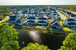 253 Windrow Way, Watersound, FL 32461 - Photo 3