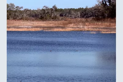 6695 Hwy 77, Chipley, FL 32428 - Photo 11