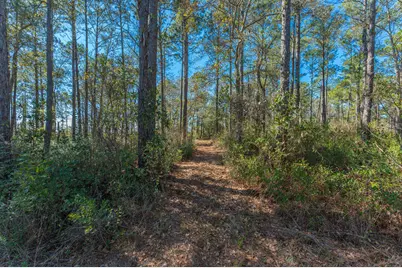 90 Acres Highway 331 S & Jolly Bay Road, Freeport, FL 32439 - Photo 47