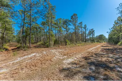 90 Acres Highway 331 S & Jolly Bay Road, Freeport, FL 32439 - Photo 45