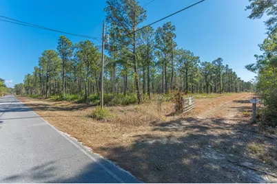 90 Acres Highway 331 S & Jolly Bay Road, Freeport, FL 32439 - Photo 41