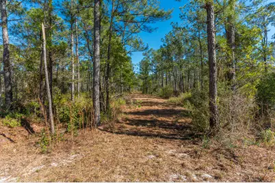 90 Acres Highway 331 S & Jolly Bay Road, Freeport, FL 32439 - Photo 43