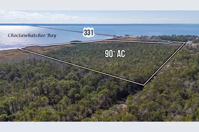 90 Acres Highway 331 S & Jolly Bay Road, Freeport, FL 32439 - Photo 19