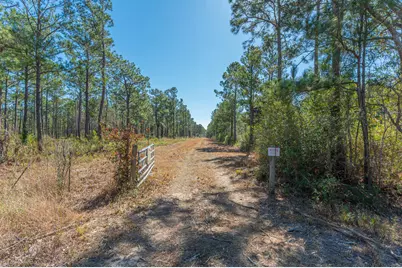 90 Acres Highway 331 S & Jolly Bay Road, Freeport, FL 32439 - Photo 21